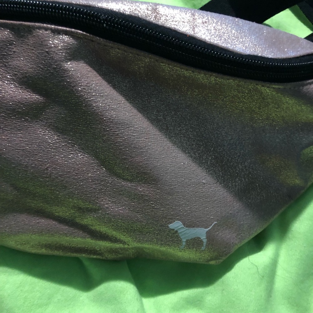 PINK fannypack.